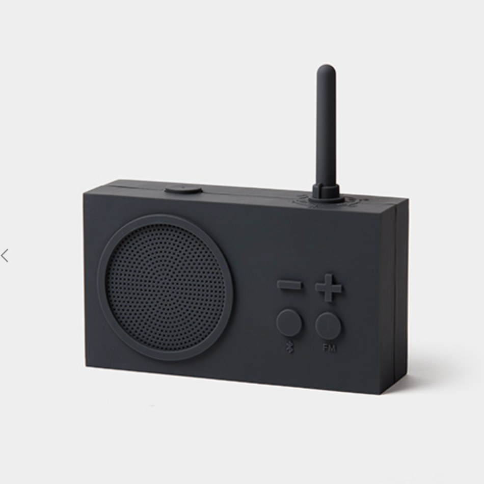 FM Radio and Speaker