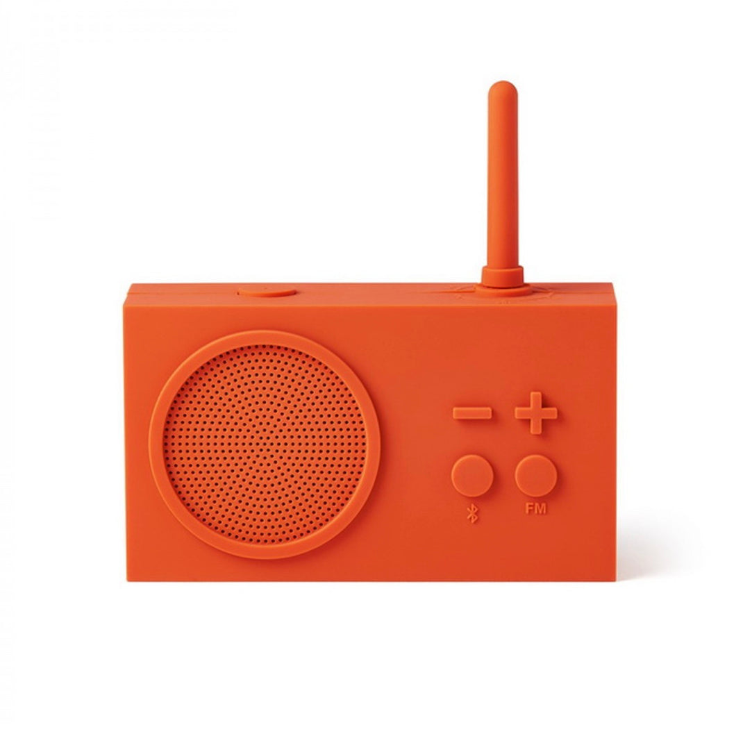 FM Radio and Speaker