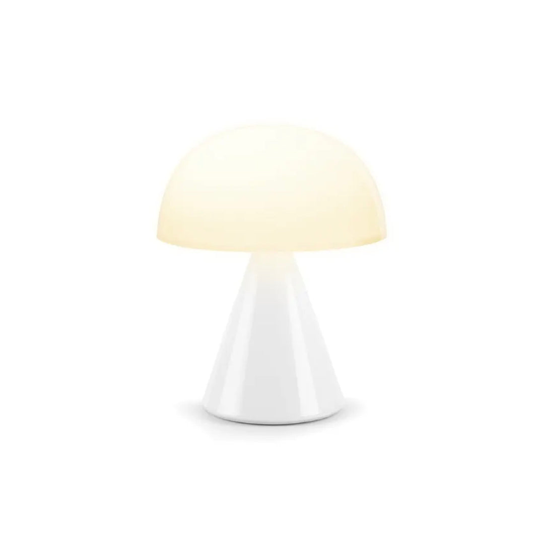 Lamp with multicolor led