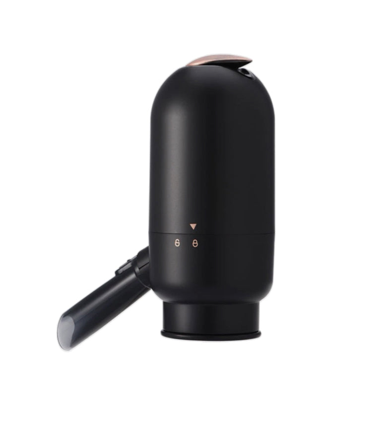 Electric aerator and pourer