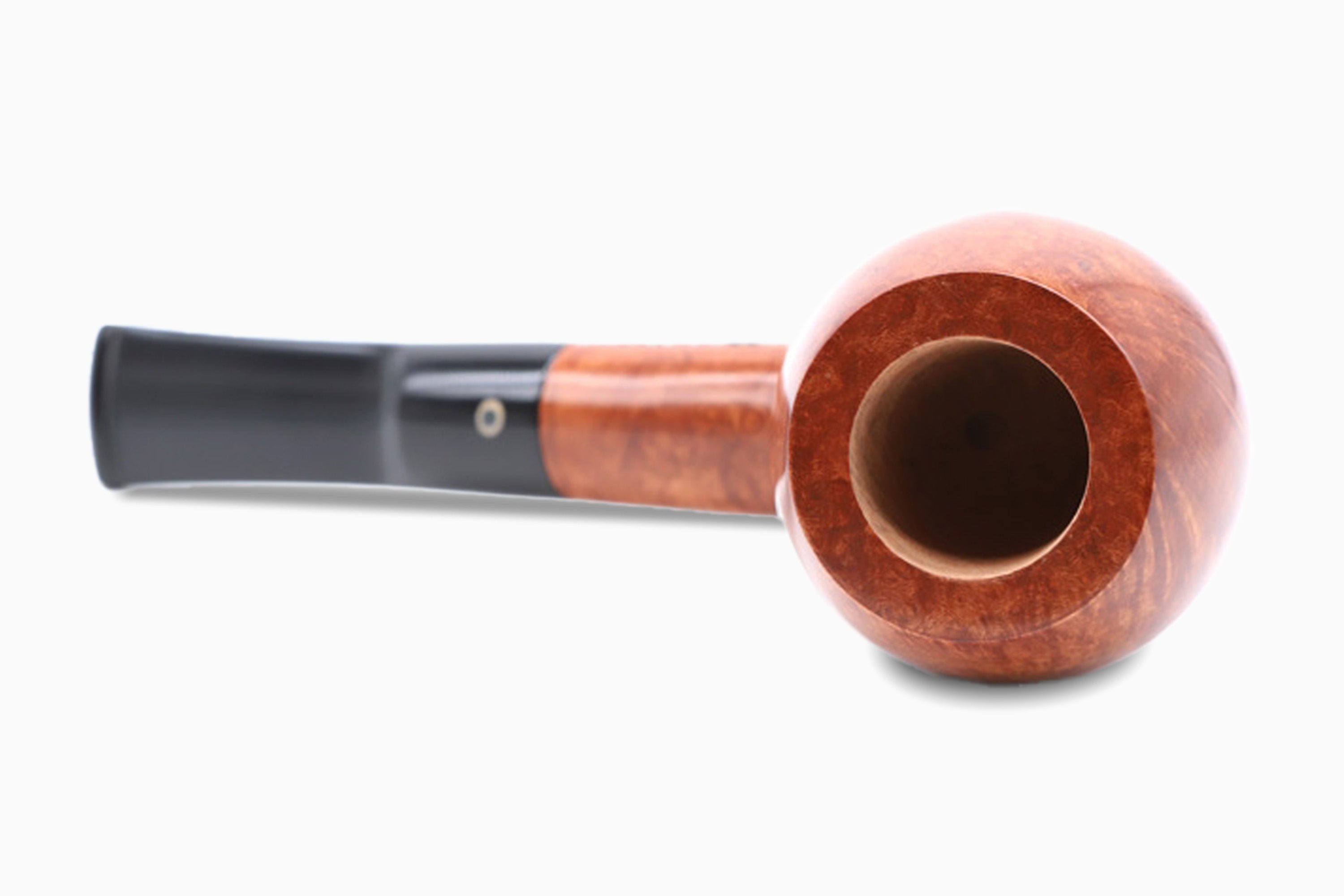 Pipa Talamona Virginia