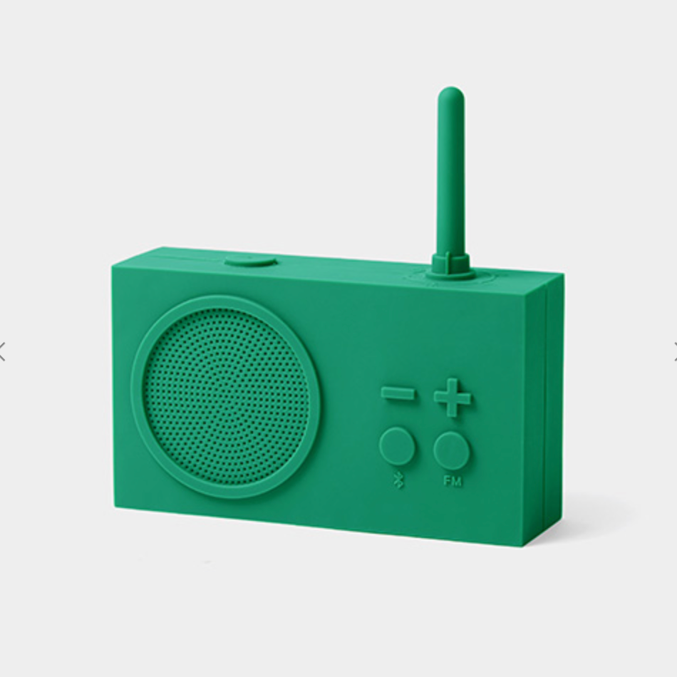 FM Radio and Speaker
